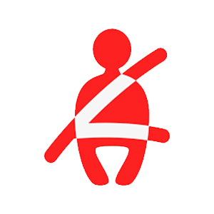 Seat Belt Reminder Light